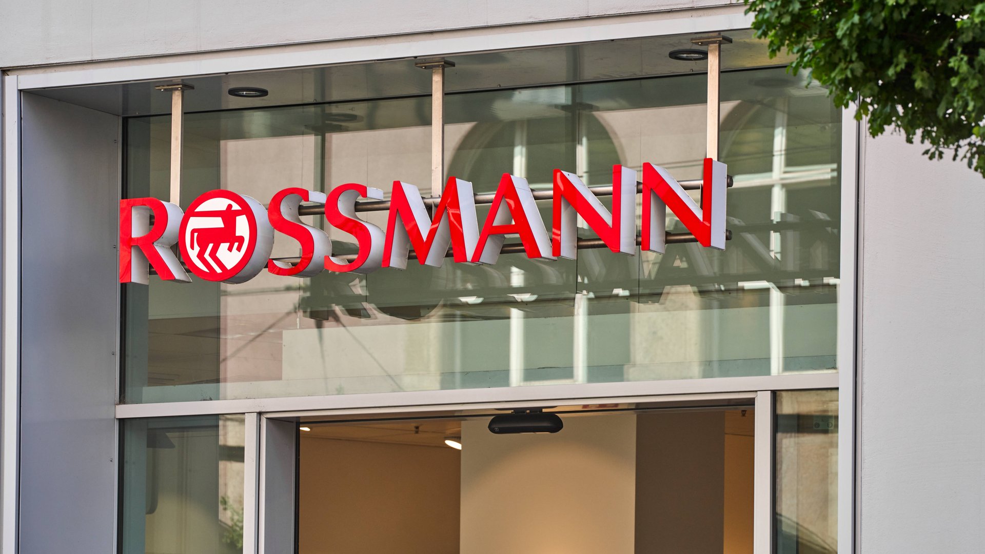 In dieser niedlichen Rossmann-Box finden alle Spielzeuge einen Platz