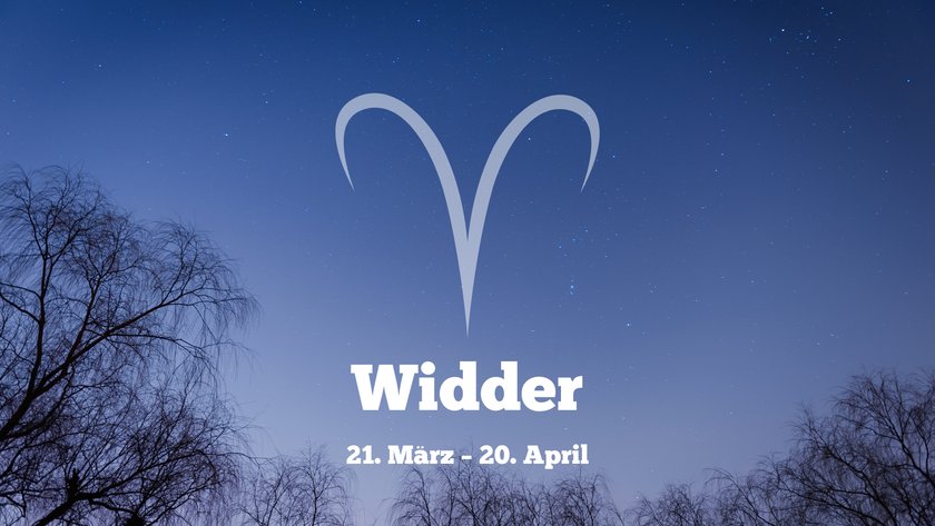 Widder