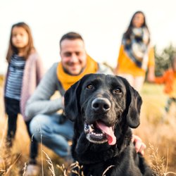 Familienfreundliche Hunde: 10 Hunderassen, die sind besonders kinderfreundlich sind