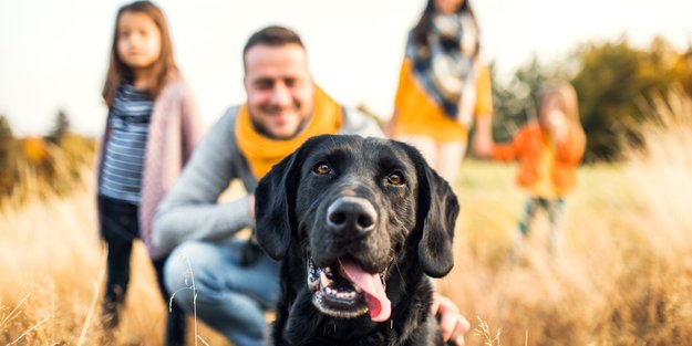 Familienfreundliche Hunde: 10 Hunderassen, die sind besonders kinderfreundlich sind