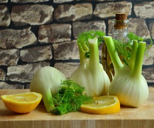 Fenchel haltbar machen: Diese Möglichkeiten gibt es