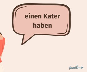 Wort des Tages: Warum sagen wir eigentlich "einen Kater haben"?