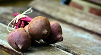 Dürfen Hunde Rote Beete essen und wie viel ist erlaubt?