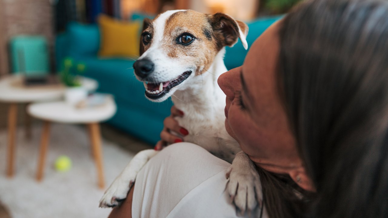 Young woman holding her jack russell terrier in her arms, radiating love and companionship in a cozy indoor setting, capturing a beautiful moment of joy and connection