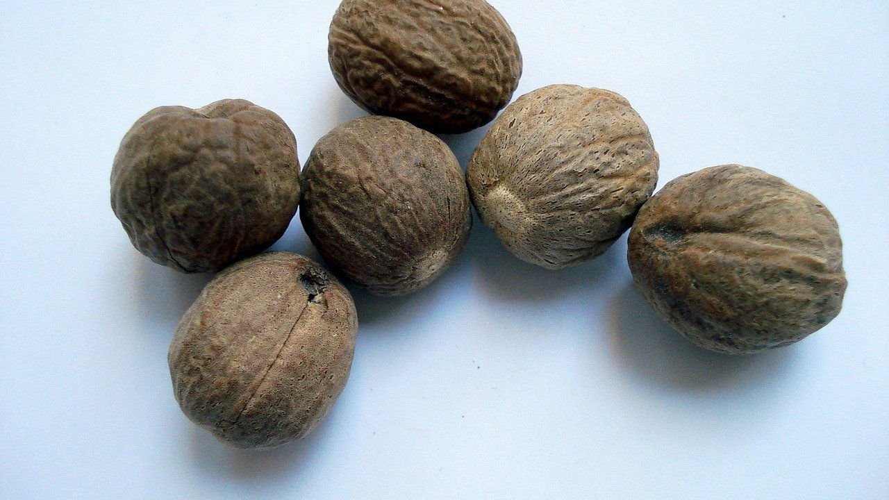 Ganze Muskatnüsse sollten für Kinder unzugänglich sein.