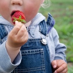 Darf mein Baby Erdbeeren essen?