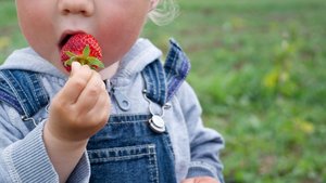 Darf mein Baby Erdbeeren essen?