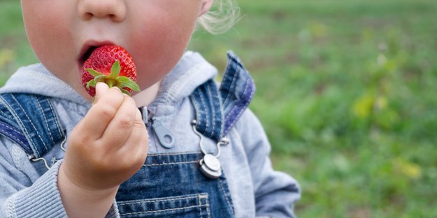 Darf mein Baby Erdbeeren essen?