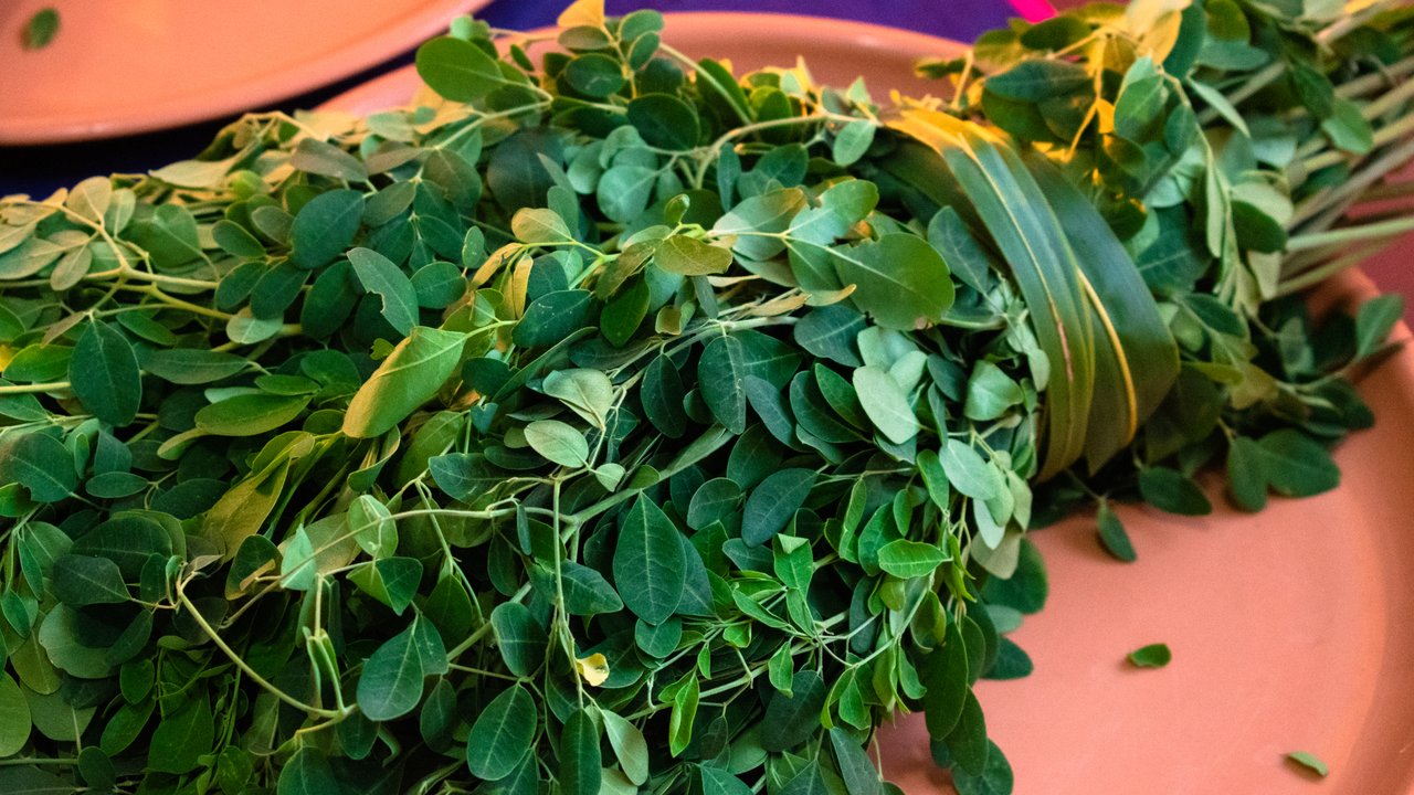 Moringa-Blätter sind nährstoffreich und vielseitig einsetzbar.