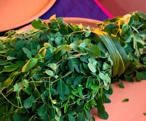 Moringa in der Schwangerschaft: Sinnvolle Ergänzung oder Vorsicht geboten?