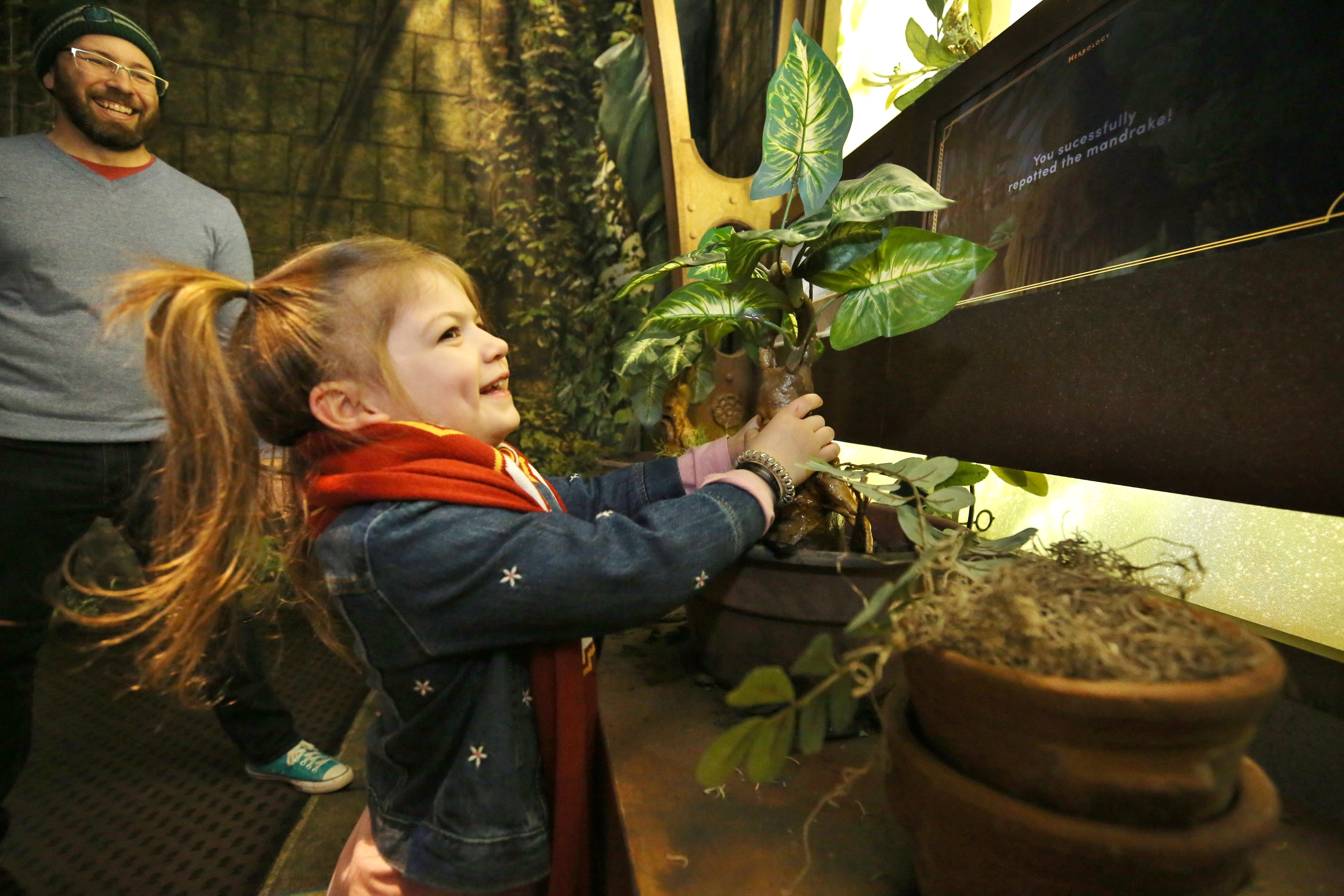 Harry Potter Ausstellung Harry Potter Ausstellung