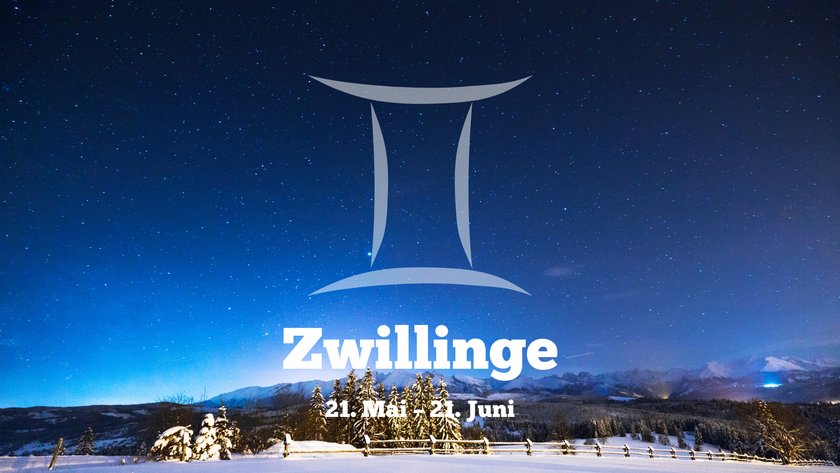 Zwillinge