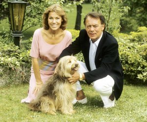 Bilder-Quiz: Wer weiß, welche TV-Serie wir suchen, gehört garantiert zur Generation Babyboomer