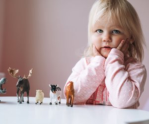 Elfen, Einhörner und Drachen – Magische Bayala Figuren für kreative Kinder