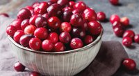 Cranberrys in der Schwangerschaft: Alles Wissenswerte