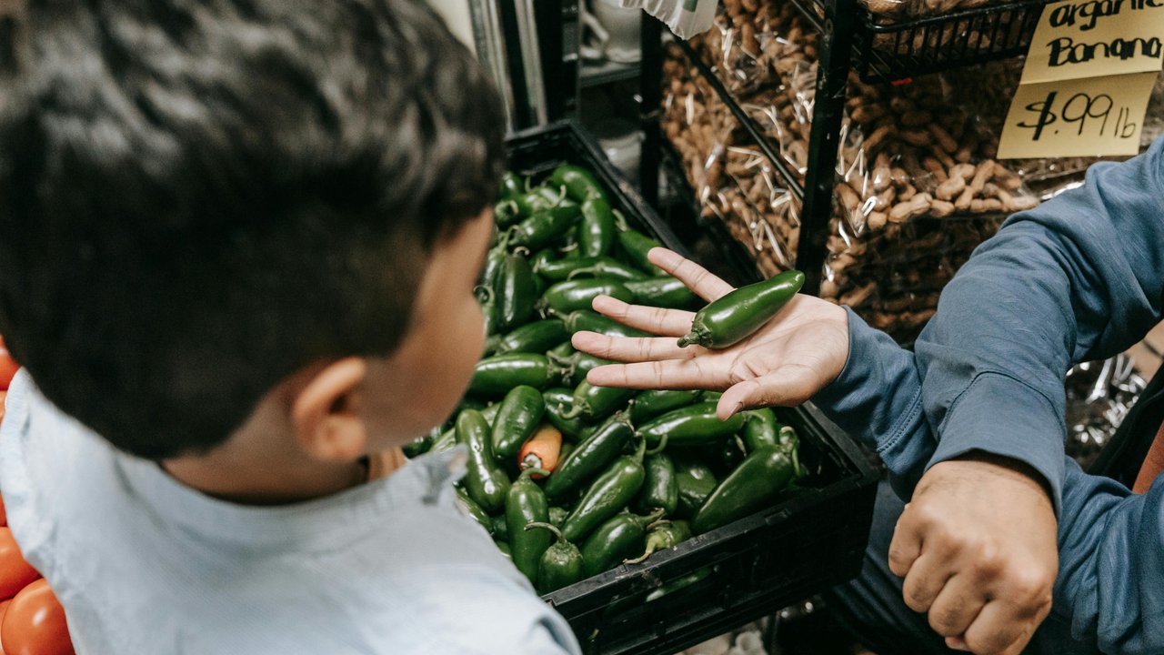 Jalapenos sind klein und unscheinbar.