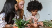 Urtiere: So überleben sie seit Millionen Jahren