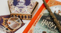 Harry-Potter-Bastelideen: 15 magische Basteleien aus Hogwarts