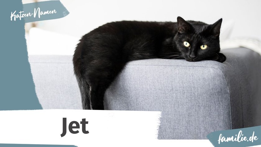 Schwarze Katze Namen: Jet