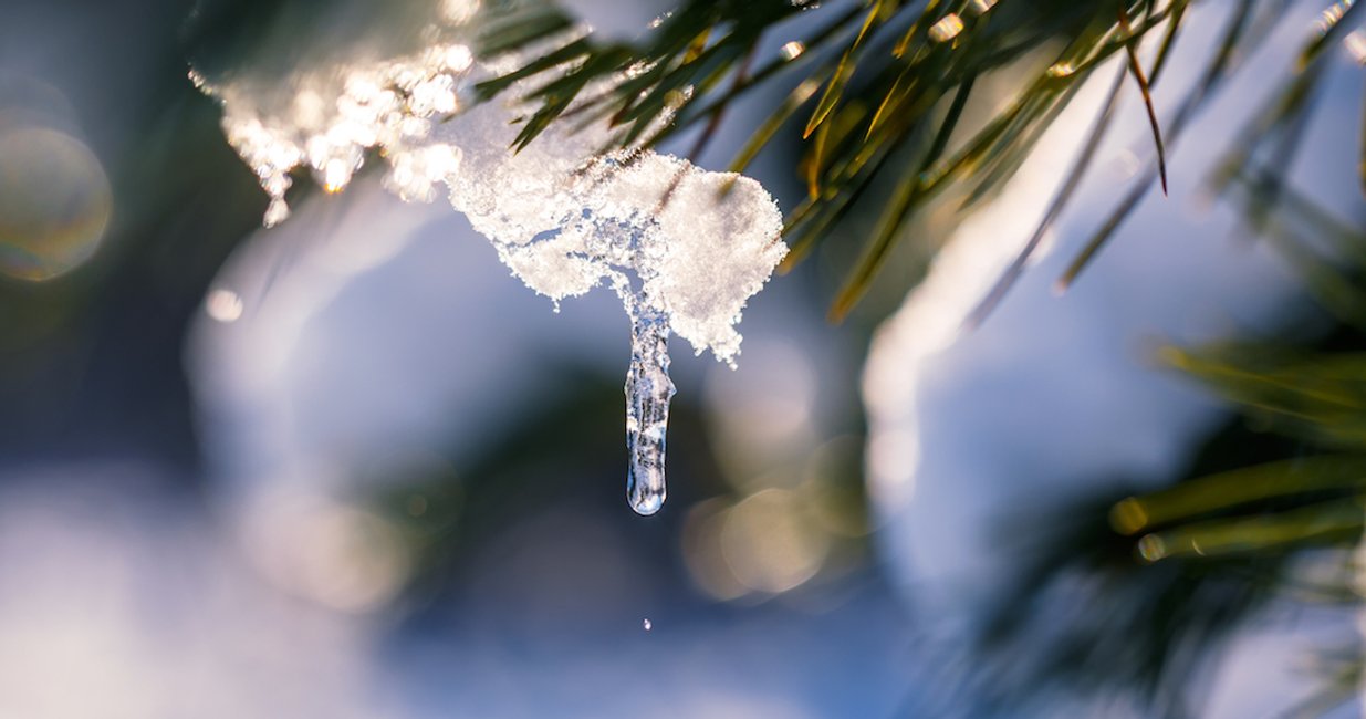 Get Lustige de la schnee For Free