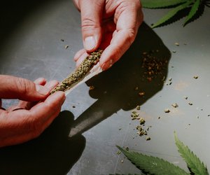 Was bedeutet „Bubatz"? Das ist mit dem Jugendwort gemeint