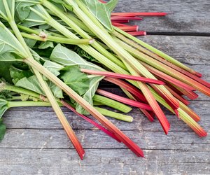 Ist Rhabarber Obst oder Gemüse? Für Kinder erklärt