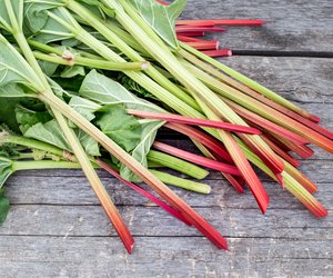Ist Rhabarber Obst oder Gemüse? Für Kinder erklärt
