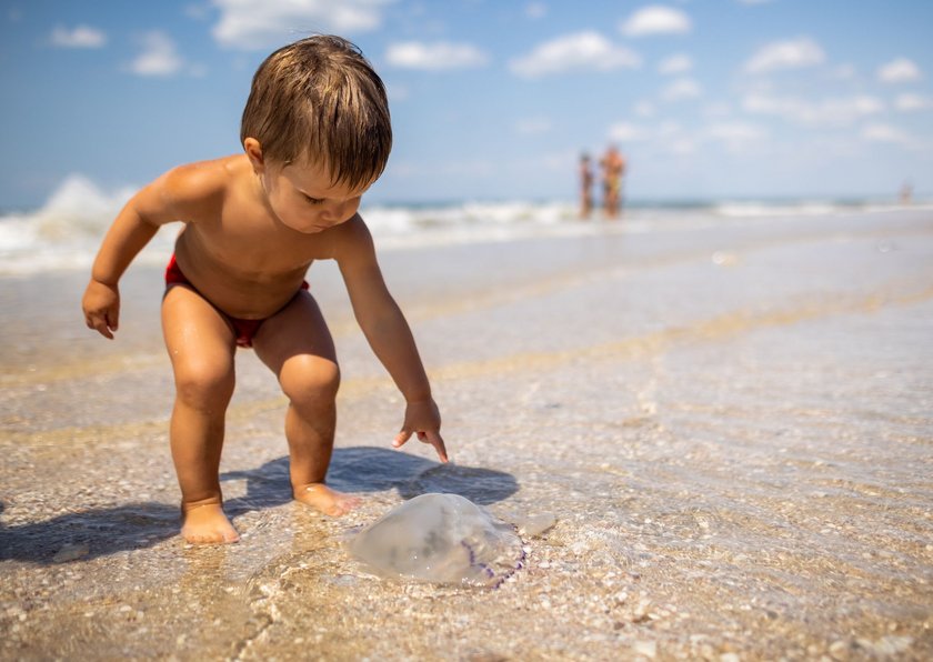 Mit dem Baby sicher durch den Sommer: Kind hat am Strand eine Qualle entdeckt und will sie anfassen
