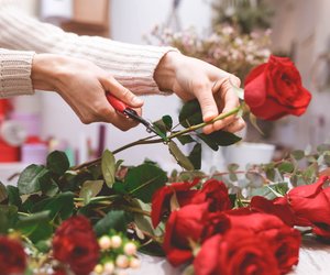 Mit diesem einfachen Trick bleiben eure Rosen in der Vase länger hübsch