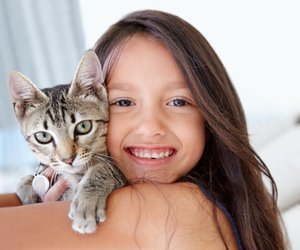 Weißt du, zu welchen Filmen diese Katzen gehören?