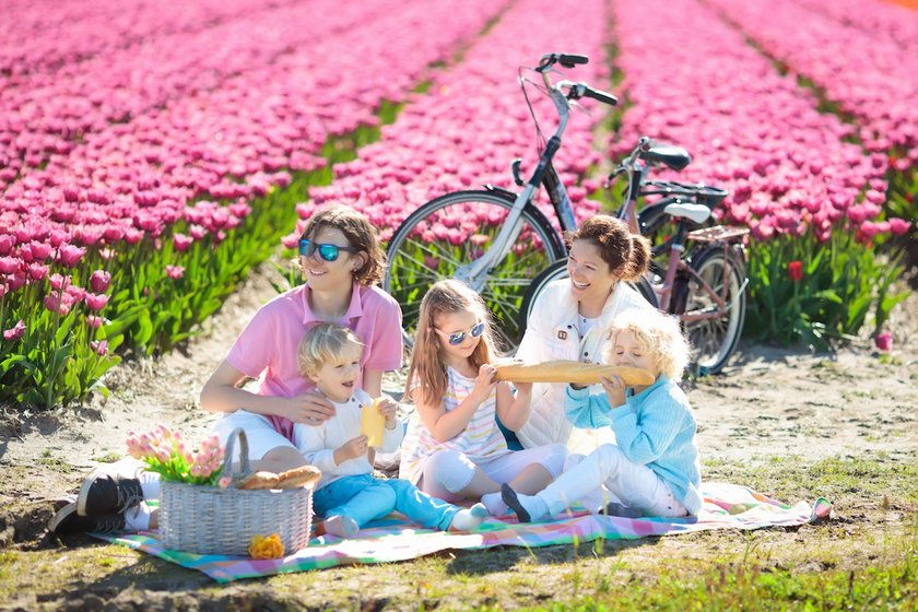 Familien-Picknick vor pinker Tulpenrabatte