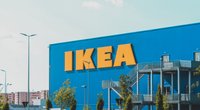 IKEA-Hack: Das ist der perfekte Ort für eine Katzentoilette