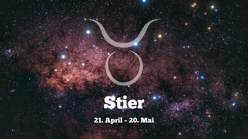 Stier