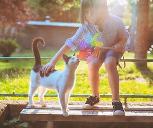 Katzen und Freiheit: Diese Rassen sind am liebsten draußen unterwegs