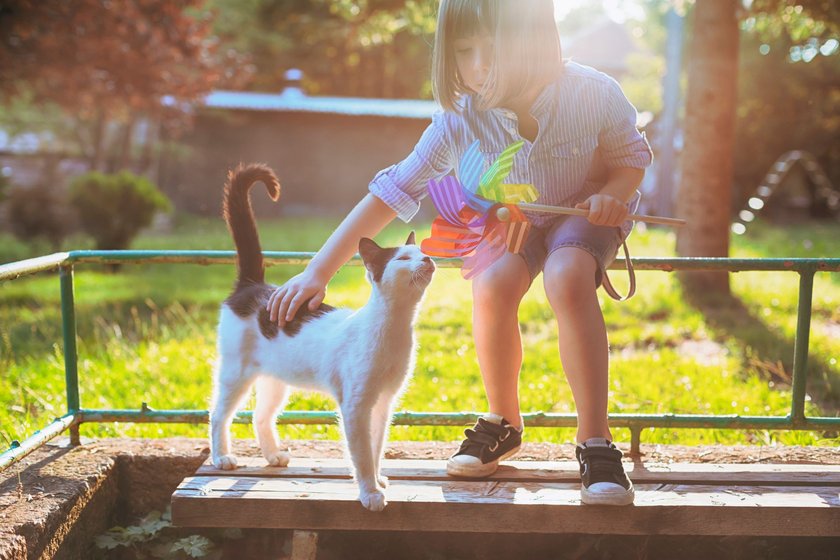 Ein Kind streichelt eine Katze und hält eine Windmühle in der Hand