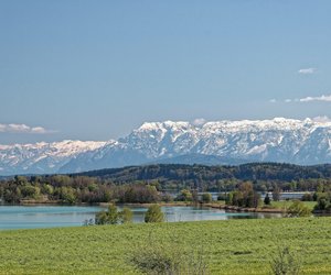 Ist der Bergmolch giftig? Geht von der kleinen Echse eine Gefahr aus?