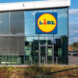 Lidl bringt mit süßen Motivteppichen Farbe ins Kinderzimmer