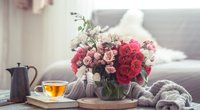 Schnittblumen frisch halten: Fünf Tipps für dich!