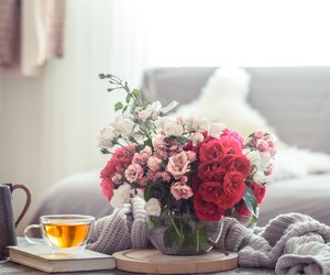 Schnittblumen frisch halten: Fünf Tipps für dich!