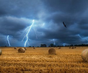 Wie entsteht ein Gewitter? Wenn es blitzt und donnert