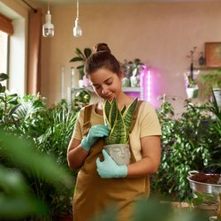 Laut chinesischem Tierkreiszeichen: Diese Pflanze passt perfekt zu dir