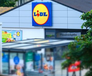 Lidl-Truhe für Paw-Patrol-Liebhaber: Hier finden alle Spielzeuge Platz