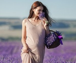 Lavendelöl in der Schwangerschaft: Wellness für werdende Mütter