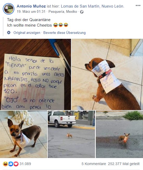 Hund einkaufen Hund einkaufen