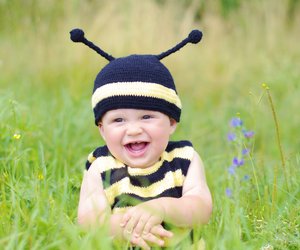Was tun bei einem Bienenstich: Wenn das Kind gestochen wird