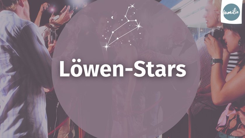 Sternzeichen Portrait Löwe - 14