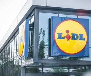 DIY auf höchstem Niveau: Das Schraubendreher-Set von Lidl macht dein Werkzeugarsenal komplett