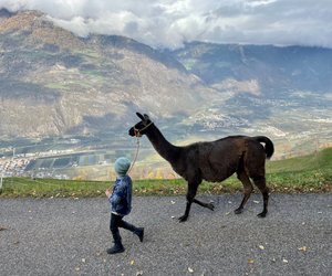 Südtirol mit Kindern: 9 Tipps für unvergessliche Urlaubstage