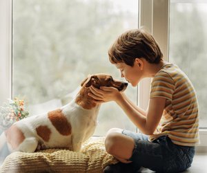 Ein Leben mit Hund: Diese Familie zeigt wie schön es sein kann