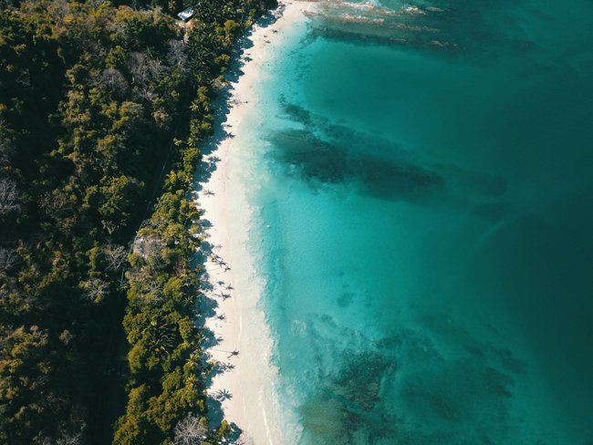 wei&#x00DF;er&#x20;Sandstrand,&#x20;Palmen&#x20;und&#x20;Meer&#x20;in&#x20;Costa&#x20;Rica&#x20;von&#x20;oben